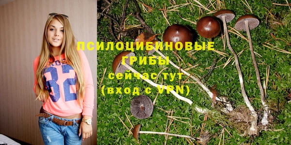 героин Бородино